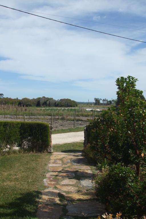Quinta Da Bunheira Guest House Rogil Exterior photo